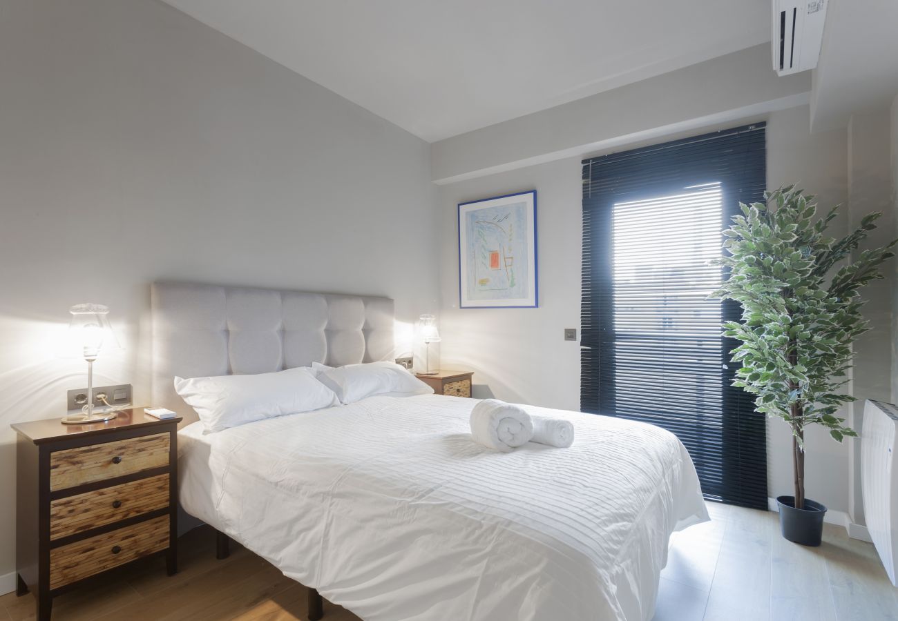 Luxury II Apartment — Salamanca neighborhood