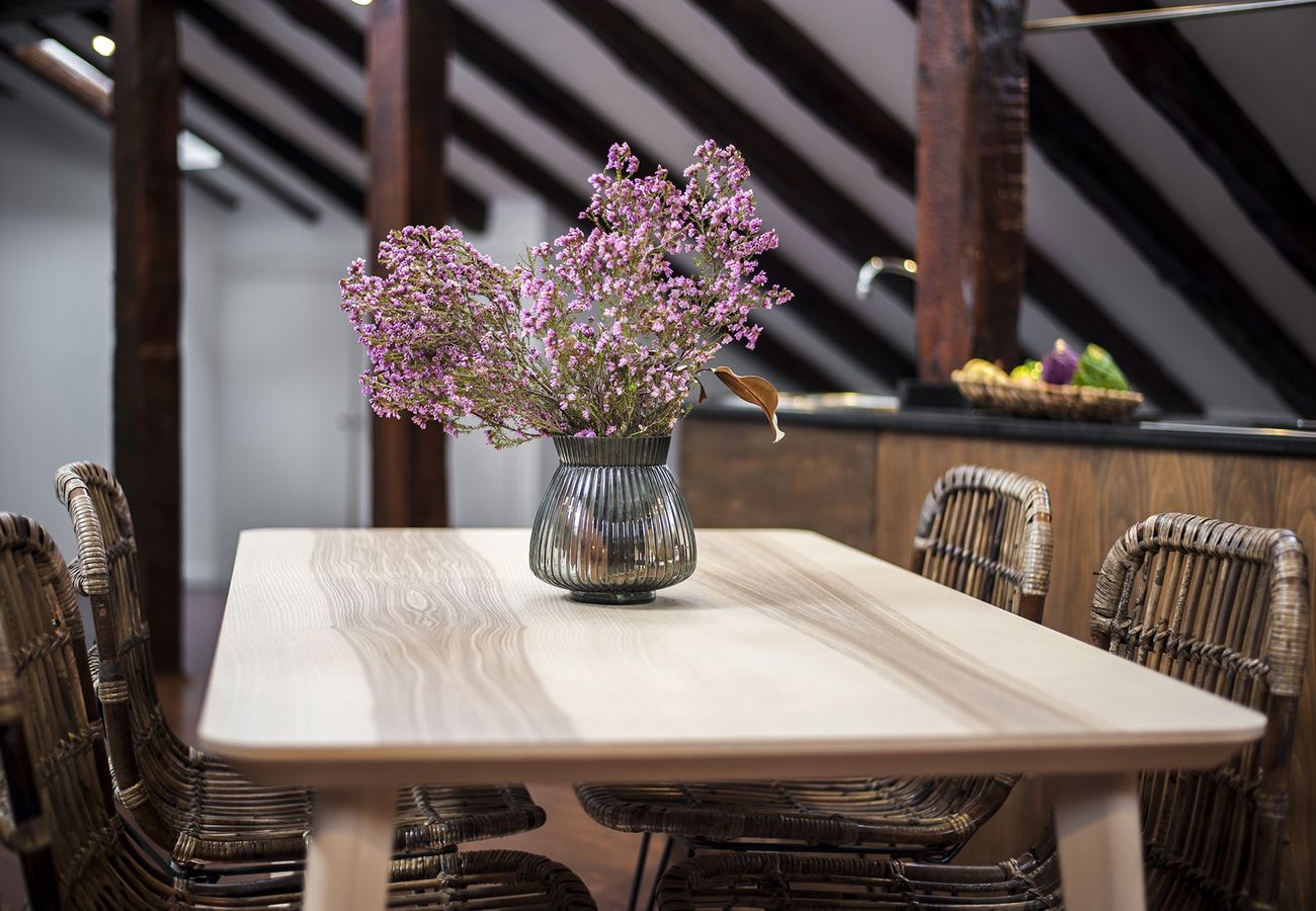 Plaza Mayor Penthouse, Functional apartment near Plaza Mayor