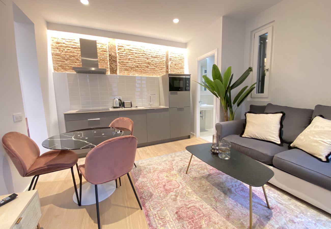 Collection La Latina - Central and functional apartment in La Latina